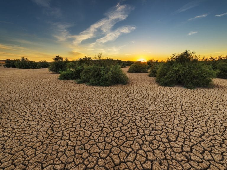 IPCC: Land Degradation Threatens Food Security