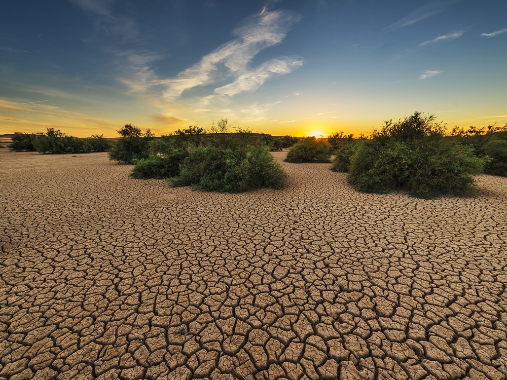 land-degradation-in-india