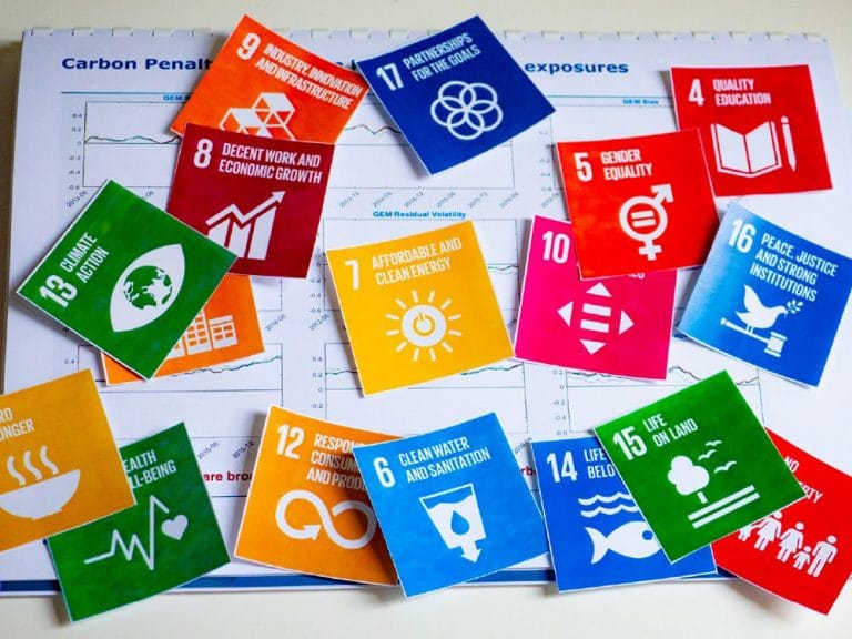 Shaping an investment strategy around the SDGs