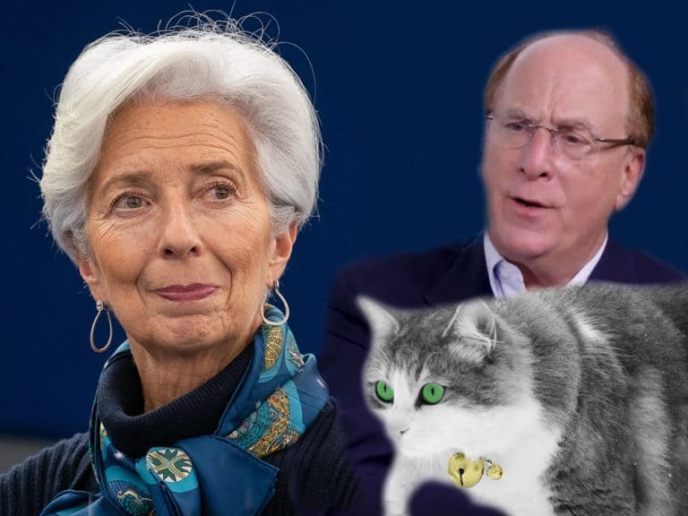 The Cat, the Bell & the ECB