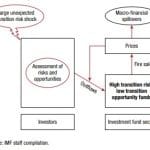 IMF GFS Report Oct2021_Fig 3.2