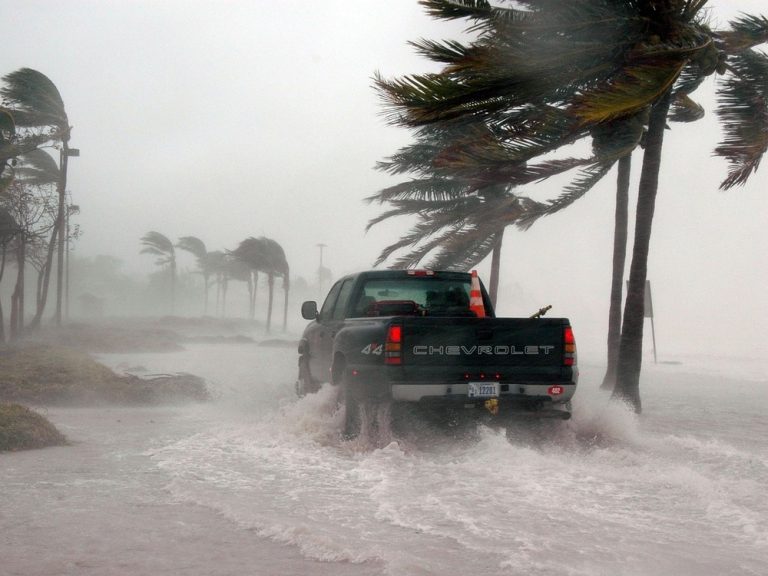 Insurers’ Climate Contradictions
